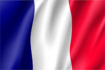 דגל צרפת - סיוע ליצואנים המיצאים לצרפת