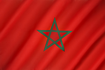 דגל מרוקו - סיוע ליצואנים המייצאים למרוקו